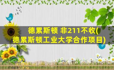 德累斯顿 非211不收(德累斯顿工业大学合作项目)